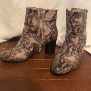 Snake skin booties